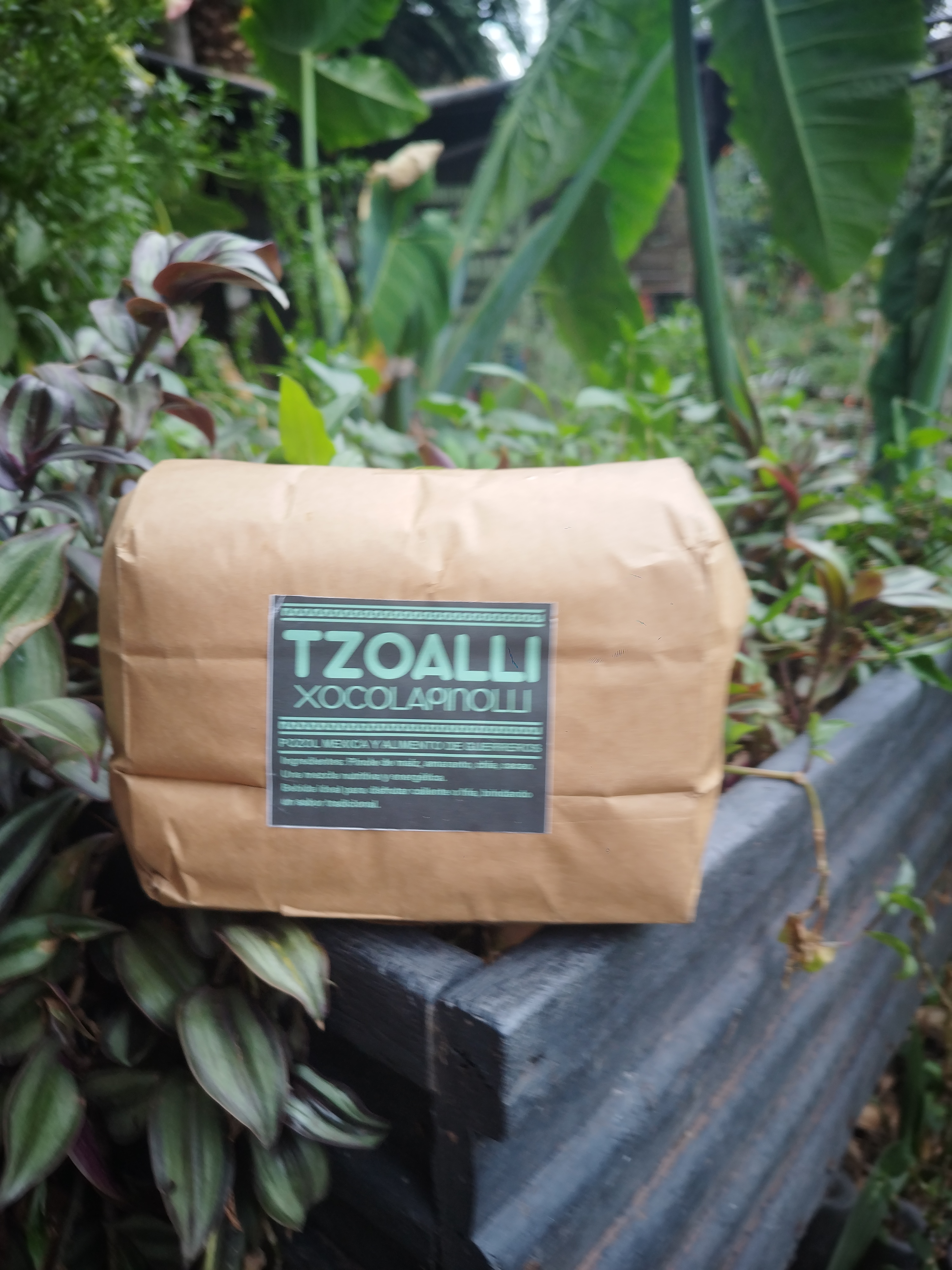 Tzoalli Xocolapinolli
